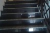 PRODAVAM STAN VO CRNICE 120 M2 +podrum 8 m  110 000 evra crnice skopje