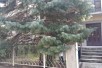 Kukja od 291m2 vo Crnice