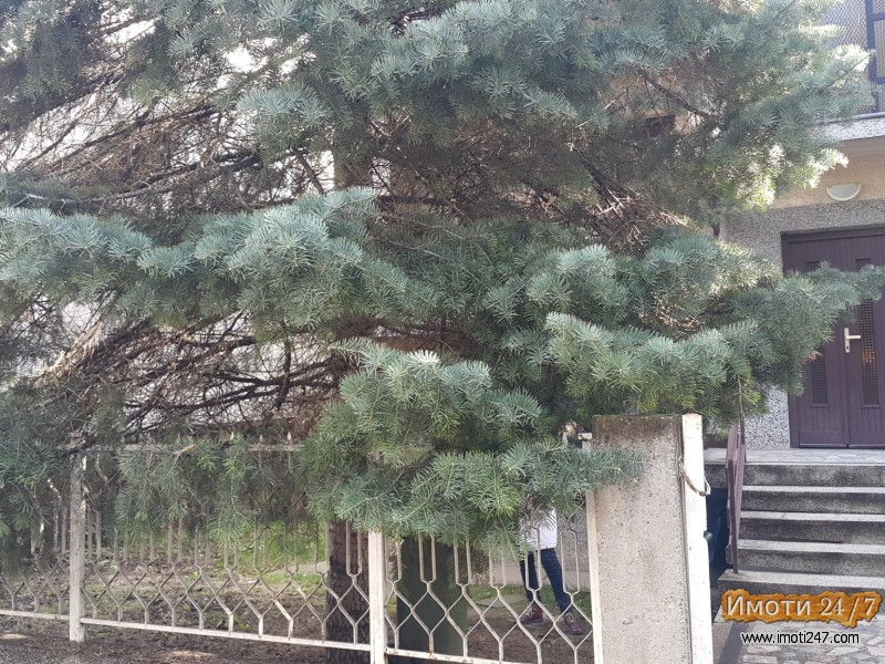 Kukja od 291m2 vo Crnice