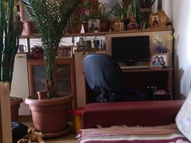 Се продава куќа во насПржино