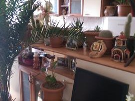 Се продава куќа во насПржино