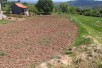 ПОВОЛНО Продавам плац во сопиште екстра локација 