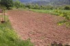 ПОВОЛНО Продавам плац во сопиште екстра локација 