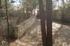 PLAC VO GORNO SONJE 