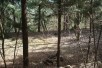 PLAC VO GORNO SONJE 