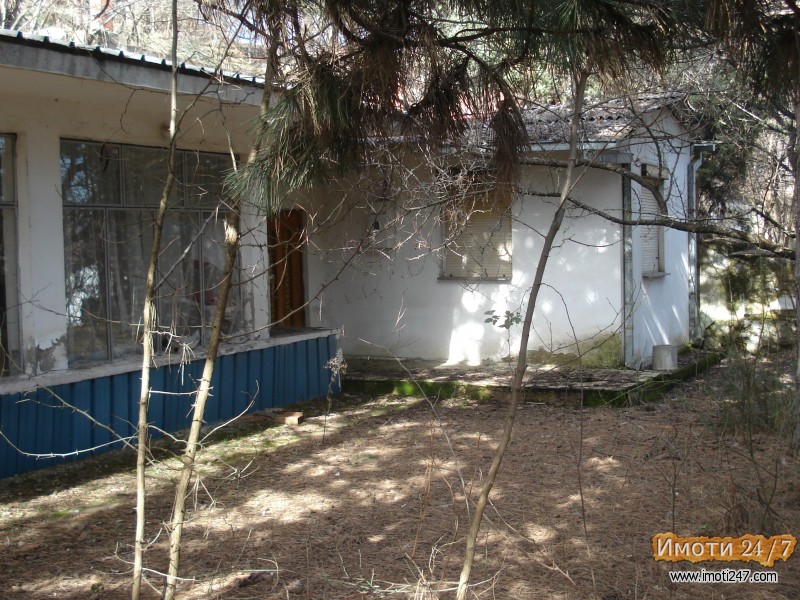 PLAC VO GORNO SONJE 