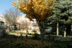 Прекрасна куќа во Ченто