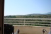 136m2 Stan vo Pripor