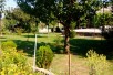 Plac Dolno Lisice