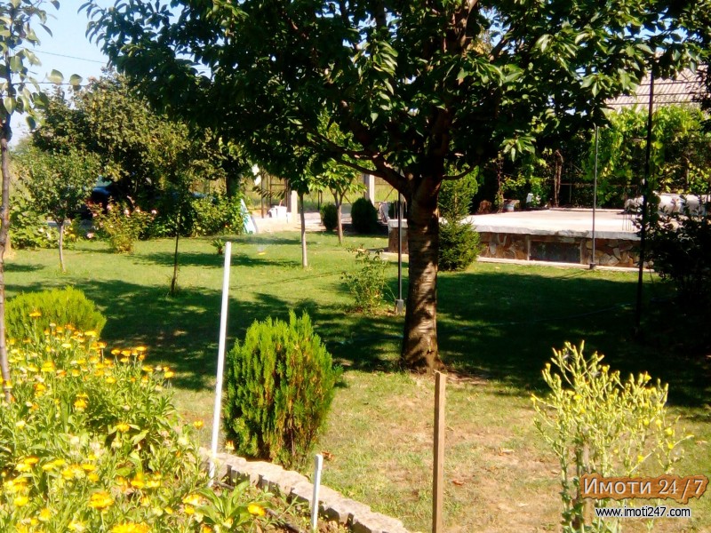 Plac Dolno Lisice