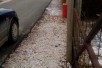 Plac Dolno Lisice