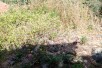 Продавам плац во Брајчино