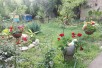 POVOLNO Imot od 625 m2 so kuka od 80m2 za semeen dom vo Butel 1