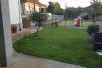 Prodavam kuka