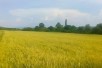 Се продава Плац-Нива од 10 000 m2   оддалеченост на 3 km од Нов Дојран 