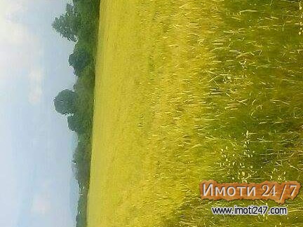 Се продава Плац-Нива од 10 000 m2   оддалеченост на 3 km од Нов Дојран 