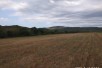 Се продава парцела од 10 000 m2 