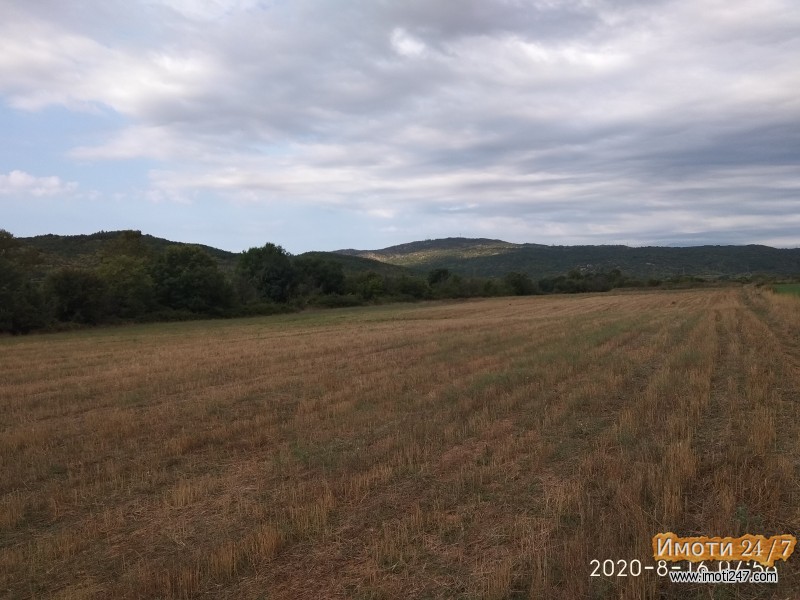 Се продава парцела од 10 000 m2 