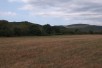 Се продава парцела од 10 000 m2 