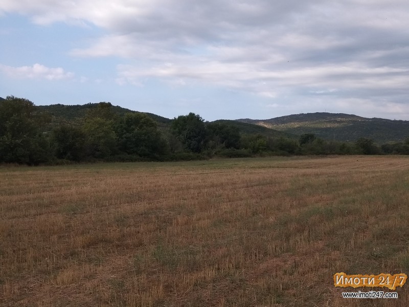 Се продава парцела од 10 000 m2 