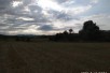 Се продава парцела од 10 000 m2 