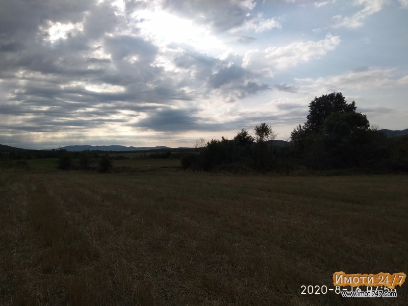 Се продава парцела од 10 000 m2 
