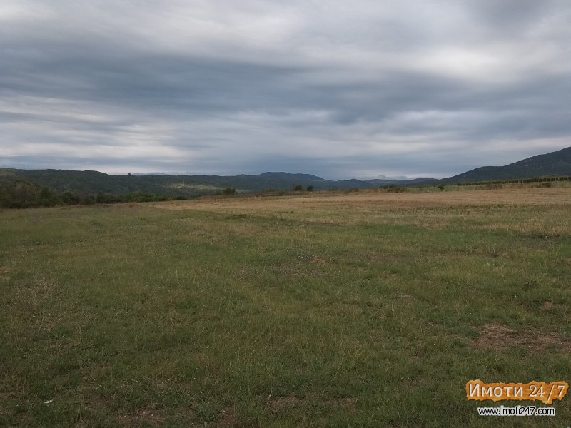 Се продава парцела од 10 000 m2 