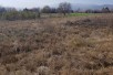 Ексклузивен плац во ДСоње