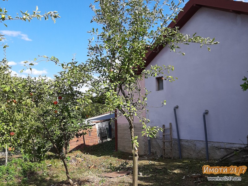 Se prodavaat dve kuki