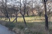 Плац во Волково