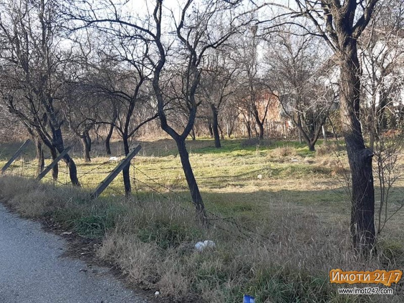 Плац во Волково