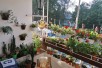 Се продава стан во Чаир