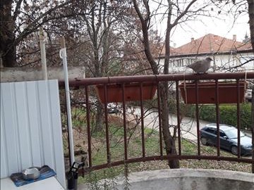 Se prodava prekrasen stan vo Hipodrom