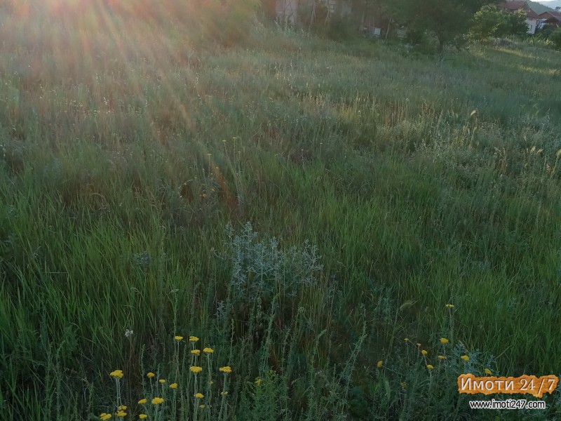 Се продава плац во Волково