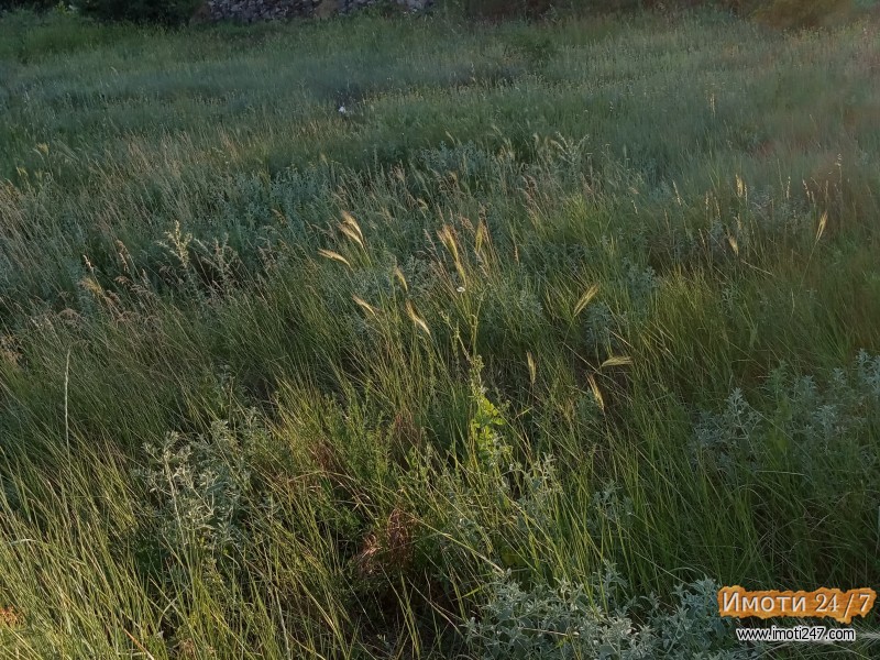 Се продава плац во Волково