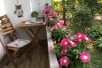 Prodava stan 60m2 renoviran