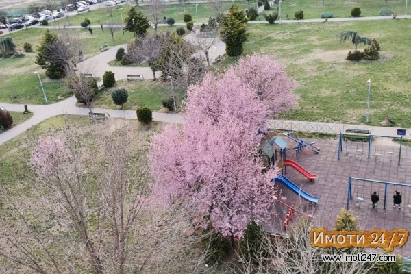 Se izdava garsonjera