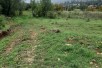 СЕ ПРОДАВА ПЛАЦ  НИВА ИТНО