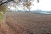 DRACEVO PLACNIVA