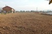 DRACEVO PLACNIVA
