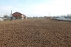 DRACEVO PLACNIVA