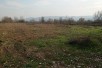 DRACEVO NIVAPLAC
