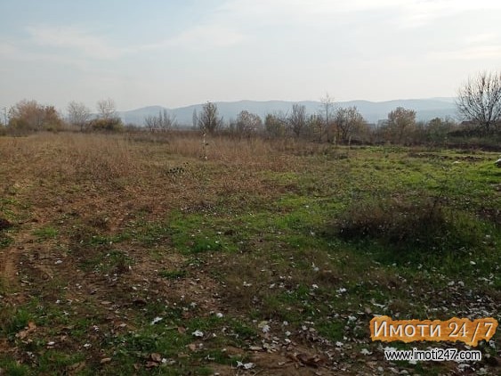 DRACEVO NIVAPLAC