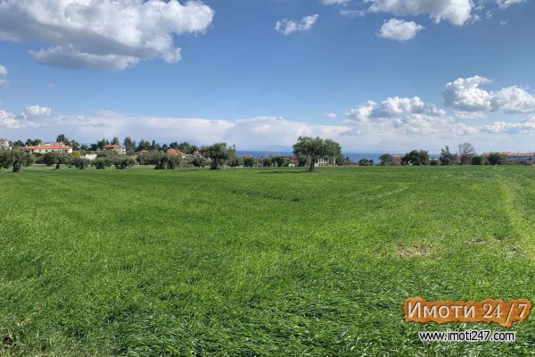 Kalitea Halkidiki Se prodava plac od 20 hektari