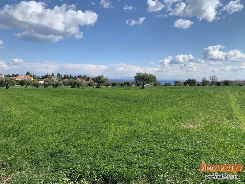 Kalitea Halkidiki Se prodava plac od 20 hektari