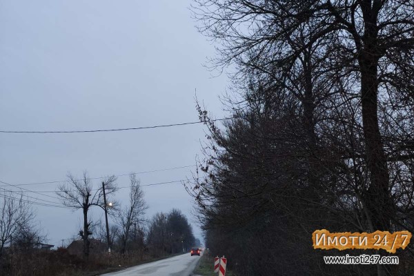 Продавам плацнива сПетровец