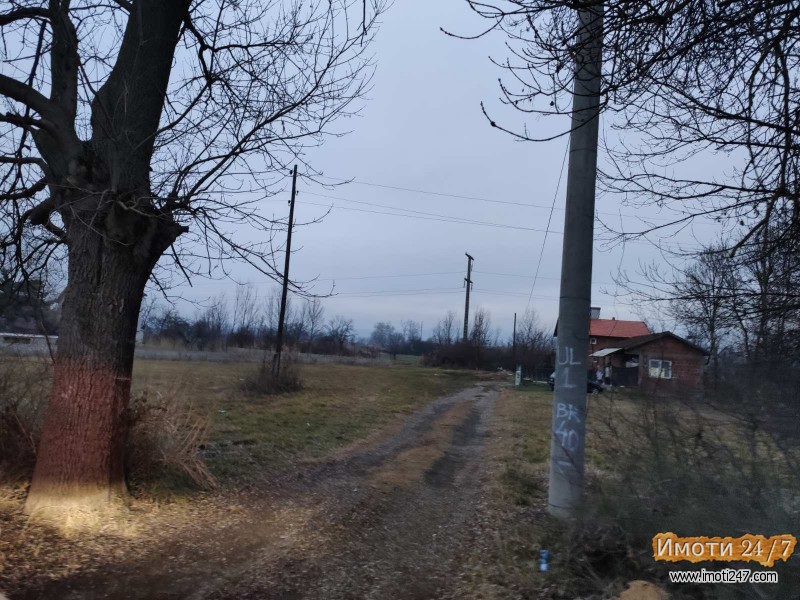Продавам плацнива сПетровец