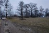 Продавам плацнива сПетровец