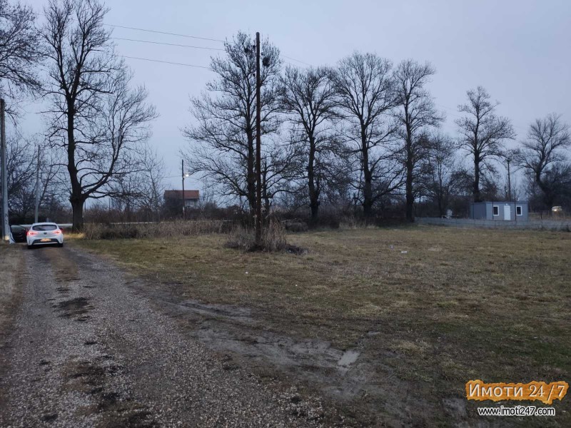 Продавам плацнива сПетровец