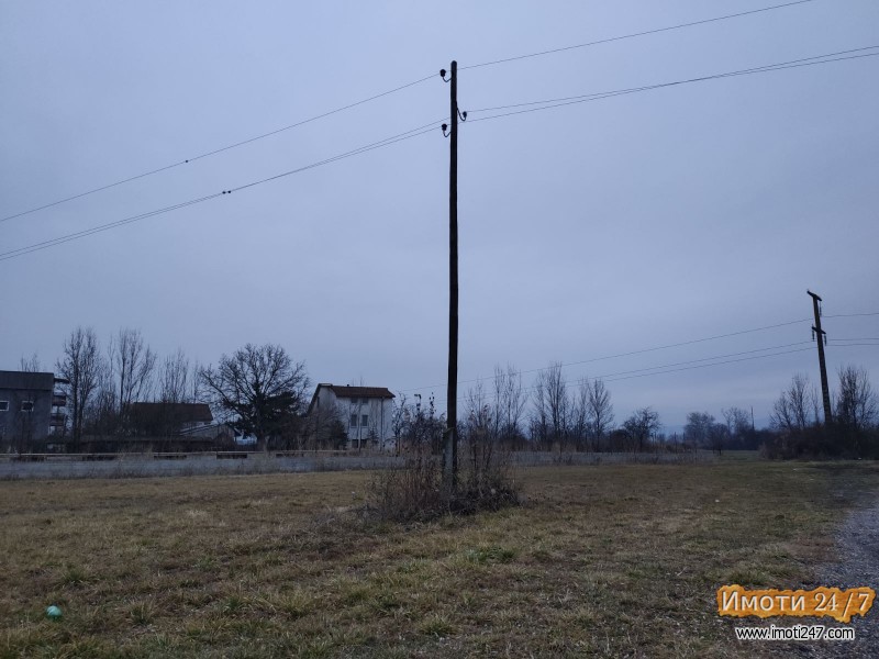 Продавам плацнива сПетровец